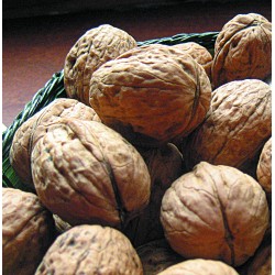 6 unidades de IBILI 726300 CASCANUECES LUXE