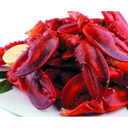 12 unidades de IBILI 785800 ROMPEMARISCO/CASCANUECES CROMADO