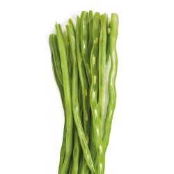 12 unidades de IBILI 799700 CORTADOR/PELADOR DE JUDIAS VERDES