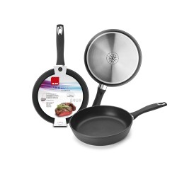 6 unidades de IBILI 400022N SARTEN NEW INDUPLUS 22 CM