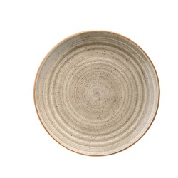 Plato llano gourmet porcelana gourmet Terrain Ø 25x2.5 cm. B928003T (12 unidades)