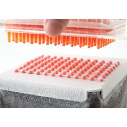 Caviar Box dispensador esferificación profesional | Cocina molecular