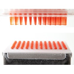 Caviar Box dispensador esferificación profesional | Cocina molecular