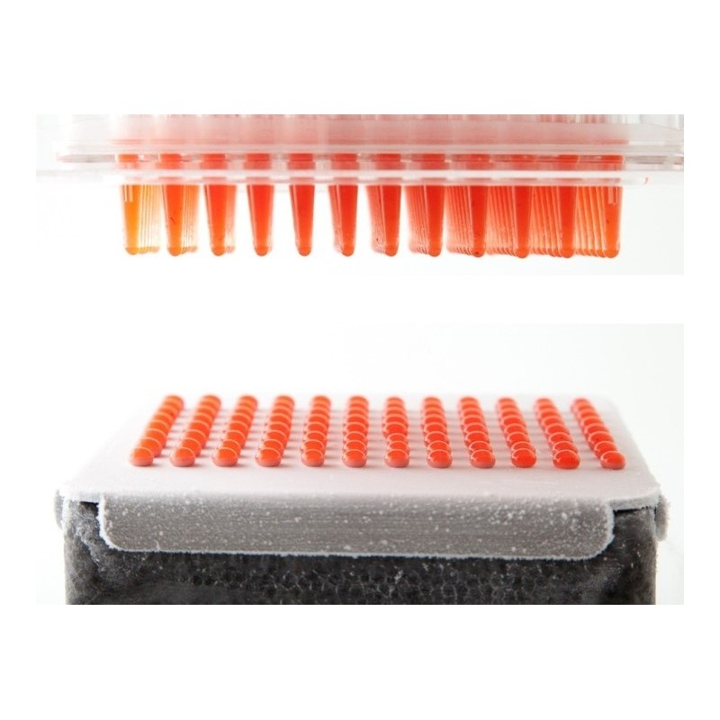 Caviar Box dispensador esferificación profesional | Cocina molecular