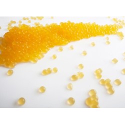 Caviar Box dispensador esferificación profesional | Cocina molecular