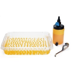 Dispensador para esferificación inversa y directa | Cocina Creativa