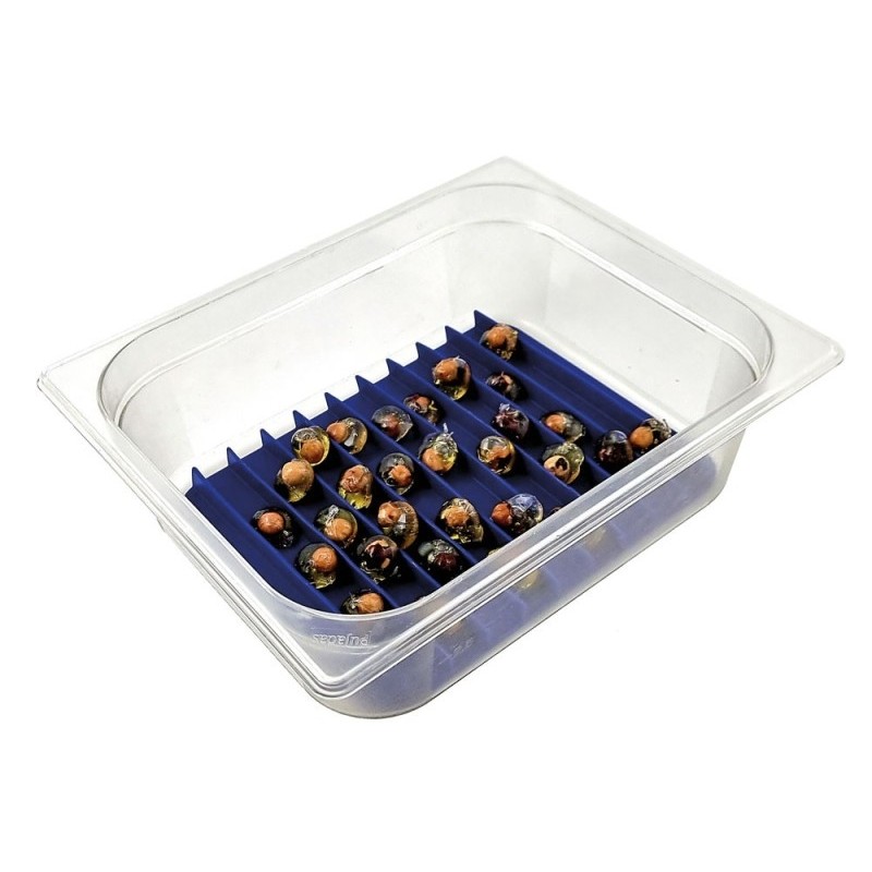 Soporte Mimetik de Silicona Platino | Cocina Creativa Profesional