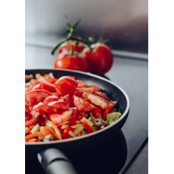 Placa de inducción encastrable con enchufe UE