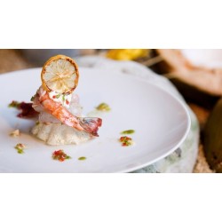 Plato de 13.5 cm de diámetro de melamina resistente a arañazos, roturas y manchas.