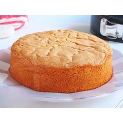 Molde desmontable redondo para postres y mousses | Medidas 26x7 cm.