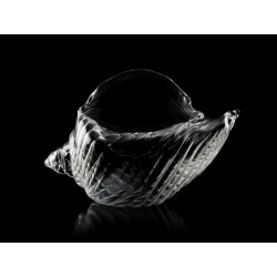 VASO CARACOL DE MAR  Ø8.5x16 cm/250 ml  160/0092  100%CHEF