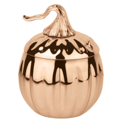 VASO DE CALABAZA ASPECTO COBRE Ø10cm H. 14.5cm 0.7L SAMBONET 44944C07
