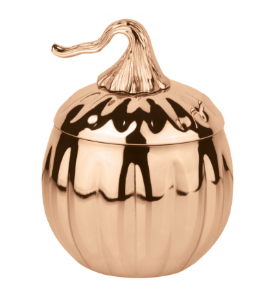 VASO DE CALABAZA ASPECTO COBRE Ø10cm H. 14.5cm 0.7L SAMBONET 44944C07