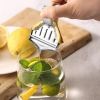 EXPRIMIDOR MANUAL PINZA PARA LIMONES Y LIMAS 7X8.5CM SAMBONET 41606-01