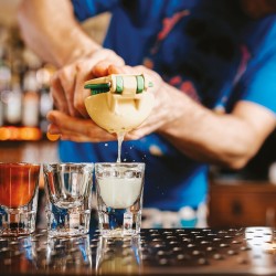 EXPRIMIDOR MANUAL DE LIMONES Y LIMAS 22X7.5CM SAMBONET 41606-22