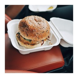 Tupper para hamburguesas de caña de azúcar blanco, capacidad 480 ML