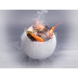 BOWL TERMO ICE BOWL FREEZER Ø 12 Y Ø 8 CM  120 ML 100% CHEF