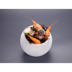 BOWL TERMO ICE BOWL FREEZER Ø 12 Y Ø 8 CM  120 ML 100% CHEF