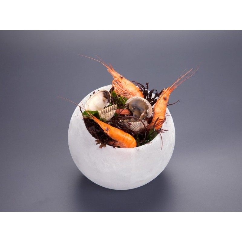 BOWL TERMO ICE BOWL FREEZER Ø 12 Y Ø 8 CM  120 ML 100% CHEF