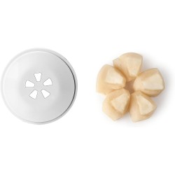 CHURRERA A ROSCA Y MÁQUINA DE GALLETAS CON 12 DISCOS IBILI 687400