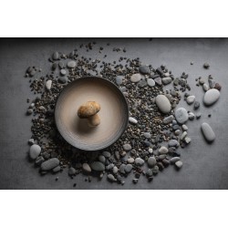 Plato postre coupé Ø 21 cm Canyon. ID Fine 20169-111021 (12 unidades)