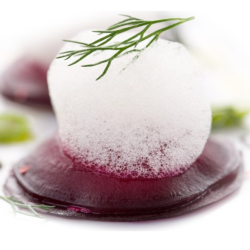 Foam Kit Espumas y Aires 17x19x5 cm 100% CHEF