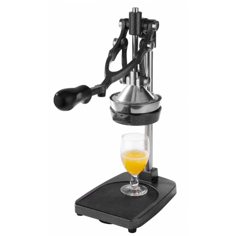 Maquina multiusos para  fruta, zumos y verdura. Profesional. 