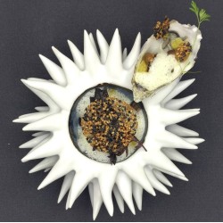 Plato Erizo Blanco/Azul 18 cm|Diseño| Raw | Ref. RD19165