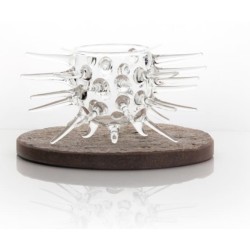 Plato Erizo de Mar Alto Borosilicato 100% Chef |Diseño| Ref. 160/0058