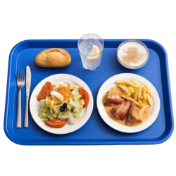Bandeja Fast Food Azul 35 x 27 | Buffet Autoservicio | Araven 17046
