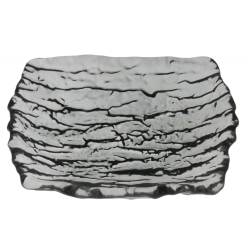 Plato Rectangular Vidrio Negro 14x12 cm | Presentación | Hostelería