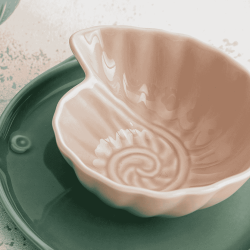 Boles de Caracolas de Mar 12.5x11.5x5 cm (6 uds) | AURA STELA |Bidasoa