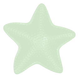 Boles con forma de estrella de mar decorado 16x16x3.5cm | KALEIDO
