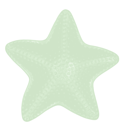 Boles con forma de estrella de mar decorado 16x16x3.5cm | KALEIDO | (4 uds) | Quid 5426572