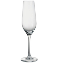 Copas de Champán Fénix | 24.4 cl | 6 uds