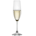 Copas de Champán Winelovers | 19 cl | 12 uds