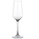 Mencia copa champan 17 cl t