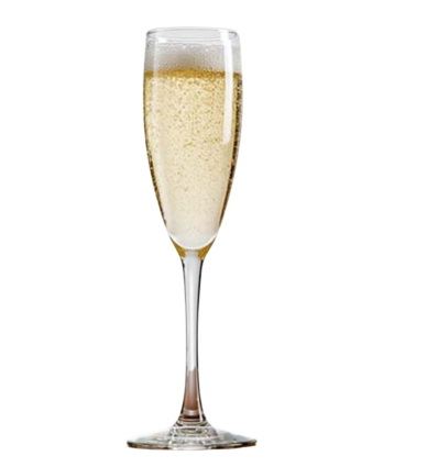 VICRILA V0201 XAREL COPA CAVA 17 CL R