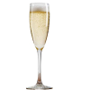 VICRILA V0201 XAREL COPA CAVA 17 CL R