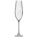 Copas de champán 26 cl 26.8 cm. Optic | Bohemia 5425843 (6 uds)
