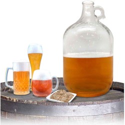 Kit Cerveza Casera 4 L | Reutilizable | Ideal Regalo | Alium Pro