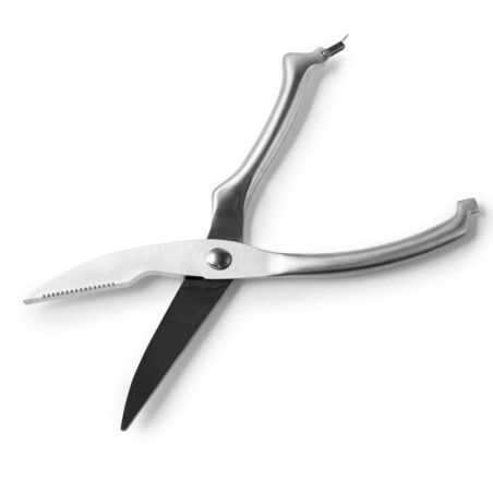 Tijeras para trinchar aves Ibili 25,5 cm | Corte seguro y profesional