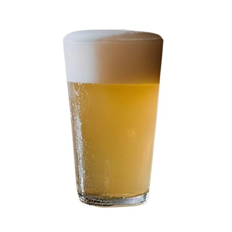 Vasos Conil de Hostelvia| 47 cl | 12 uds