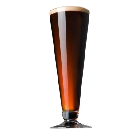 Vasos Cerveza Cónicos | Policarbonato | 45 cl | 6 uds
