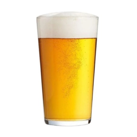 Vasos cerveza Conique Adi| Apilable | 48 uds
