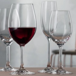 Copa vino blanco Spiegelau Festival 30,4 cl (12 uds) | Hostelería