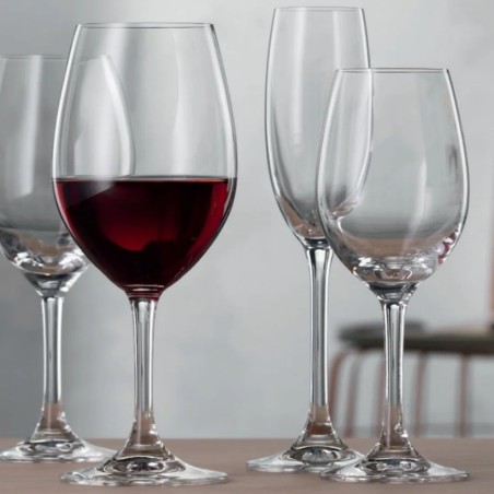 Copa vino blanco Spiegelau Festival 30,4 cl (12 uds) | Hostelería