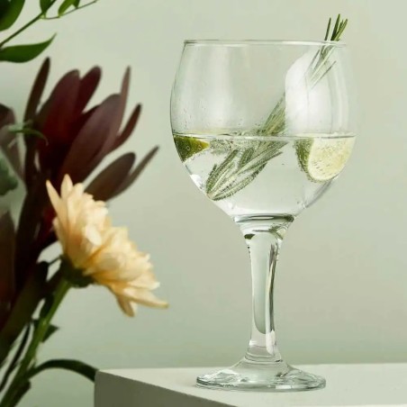 Copas para combinados Havana | 62 cl | Hostelería Profesional