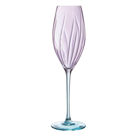 Copas de Champán Swirly Spring D'Arques | 21 cl | 4 uds