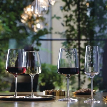 Copas de champán Bormioli Nexo 26 cl  Vidrio hostelería | 6 uds